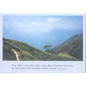 Faltkarte "Teeplantage in Munar" - 5 Stück