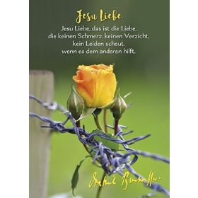Postkarten: Jesu Liebe - 12 Stück