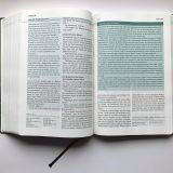 Die Bibel mit Impulsen von Joyce Meyer